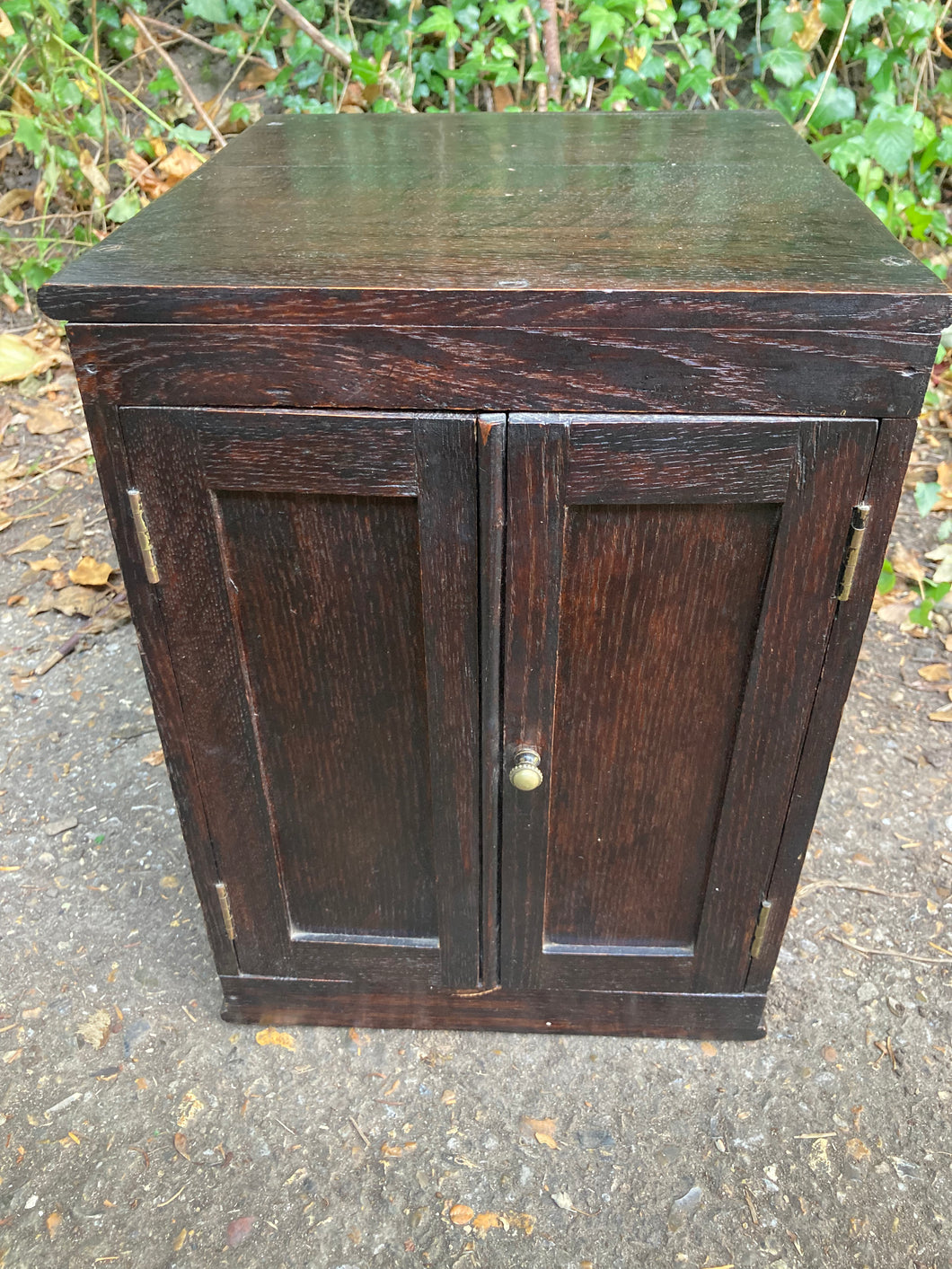 Antique Small Collectors Cabinet With Two Pull Out Trays